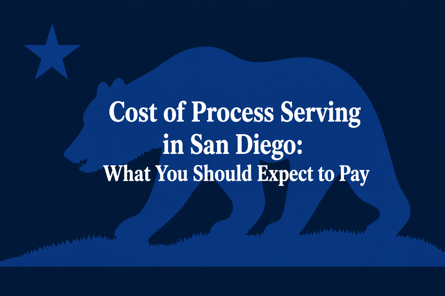 cost of process serving San Diego